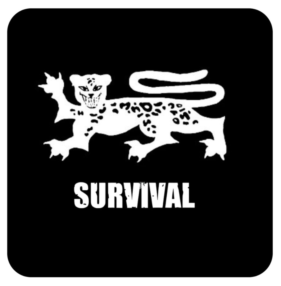 Survival Energy