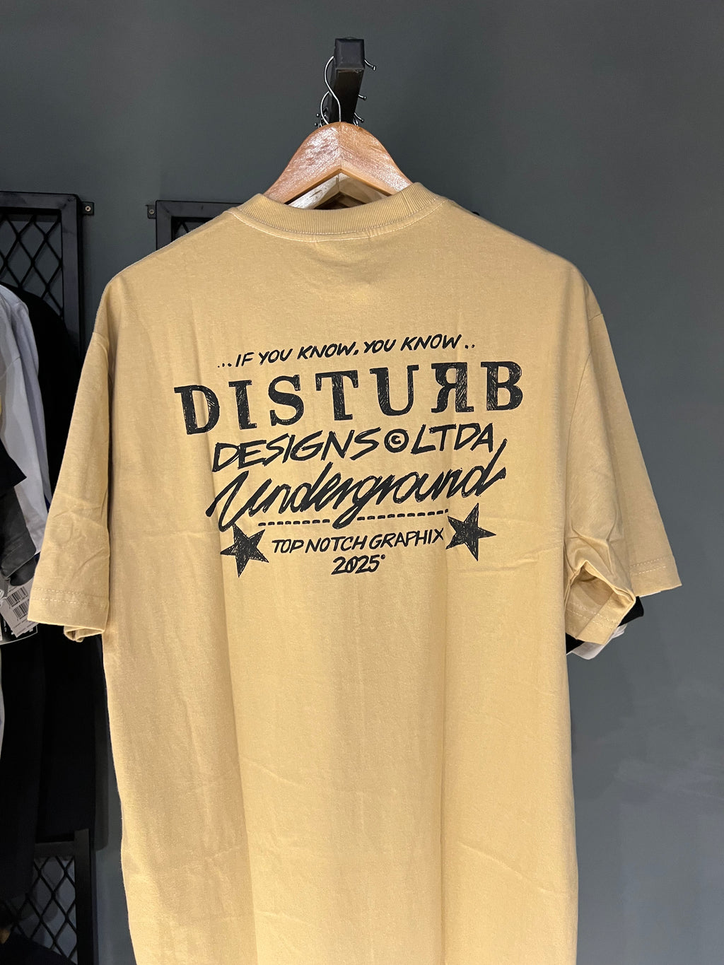 CAMISA DISTURB PEN BEIGE