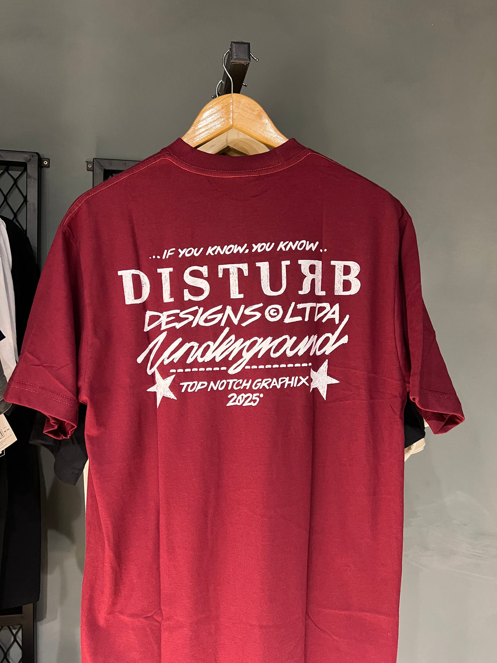 CAMISA DISTURB PEN BURGUNDY